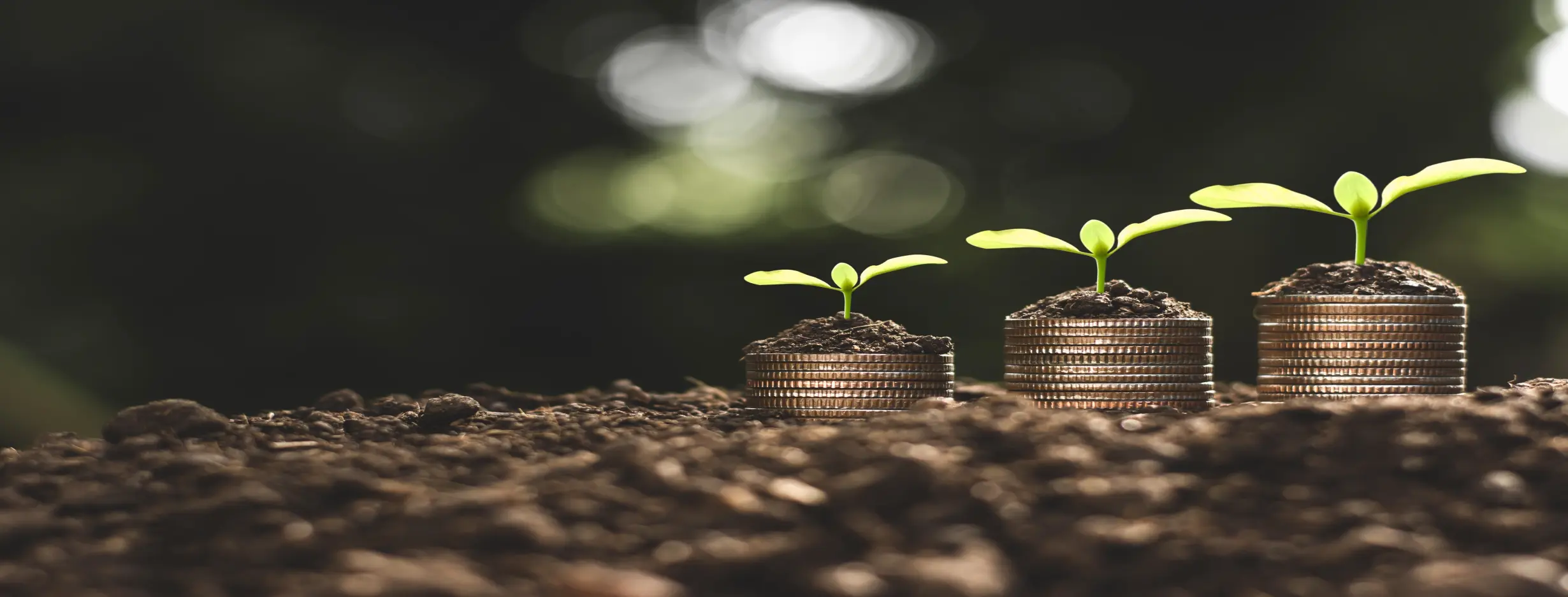 Image for Financial Landscape